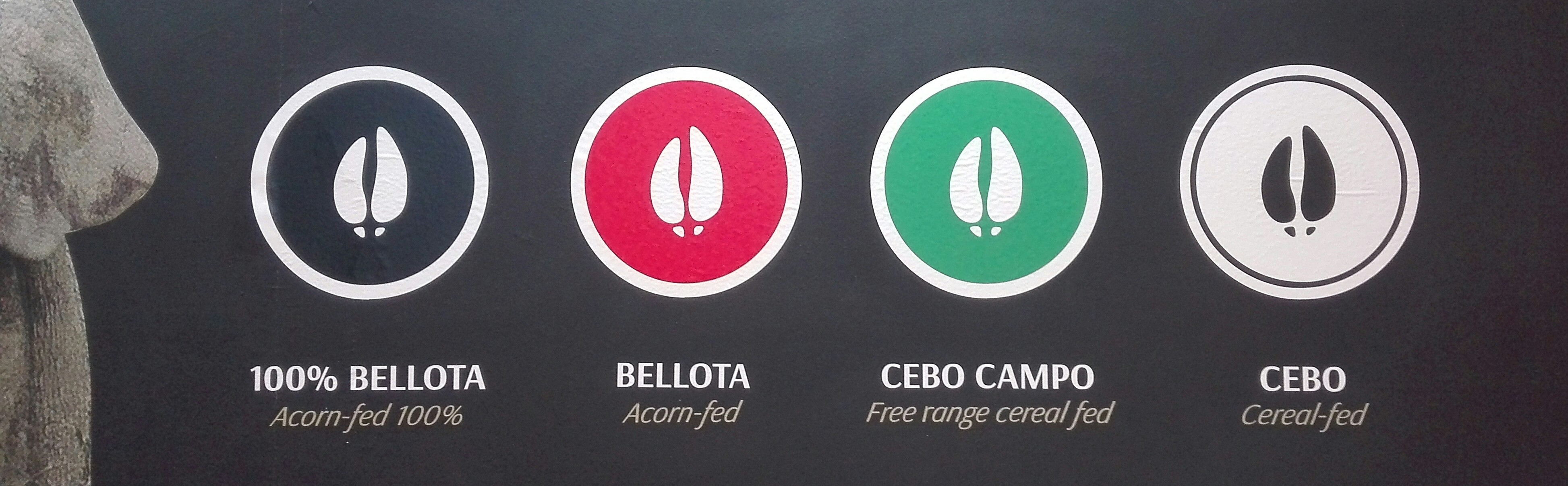 IMG_20171018_132259-2