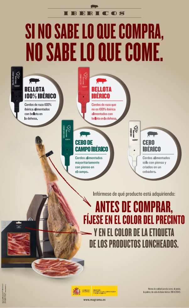 9f1c9ce582ee93871cbe55faab893cfe