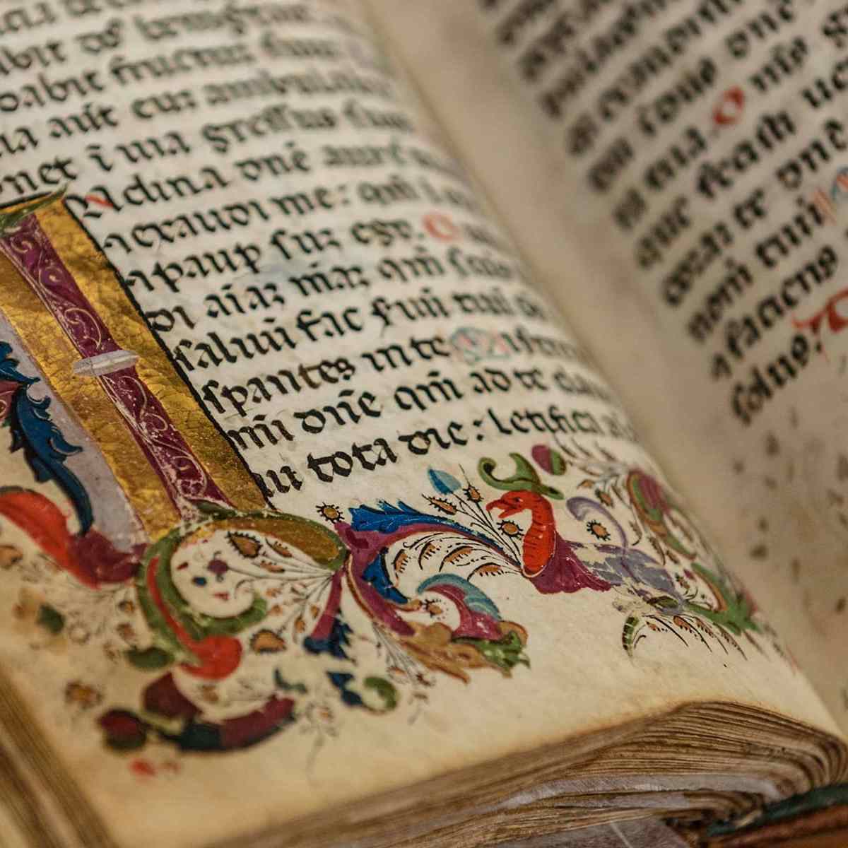 El patrimonio documental en la Baja Edad&nbsp;Media